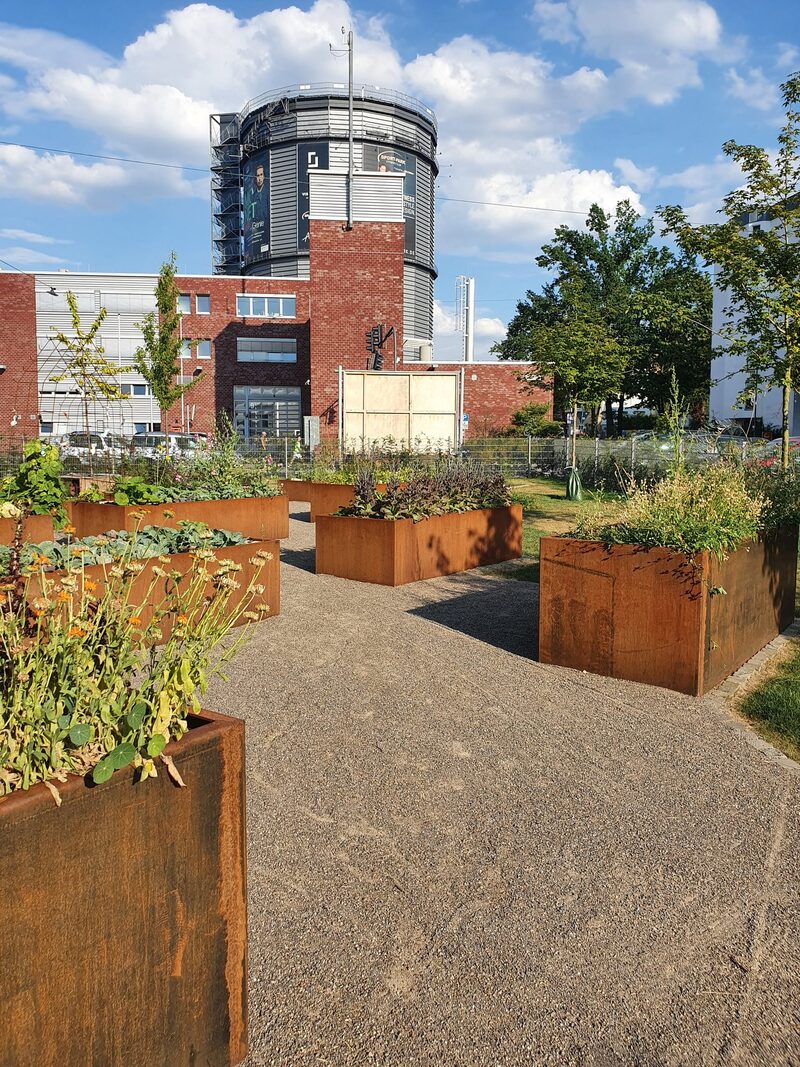 Urban Gardening